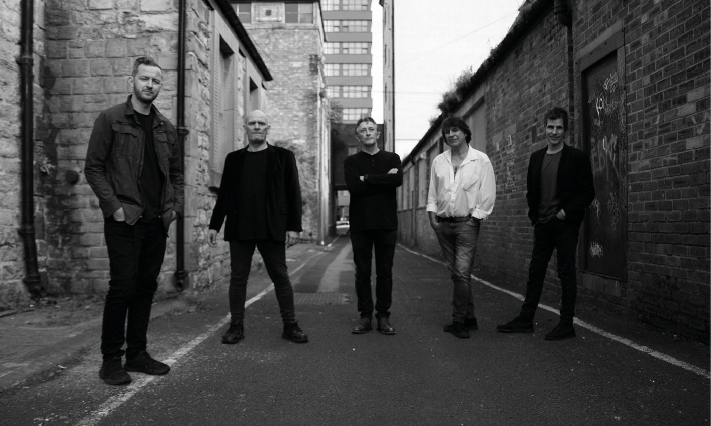THE CHAMELEONS